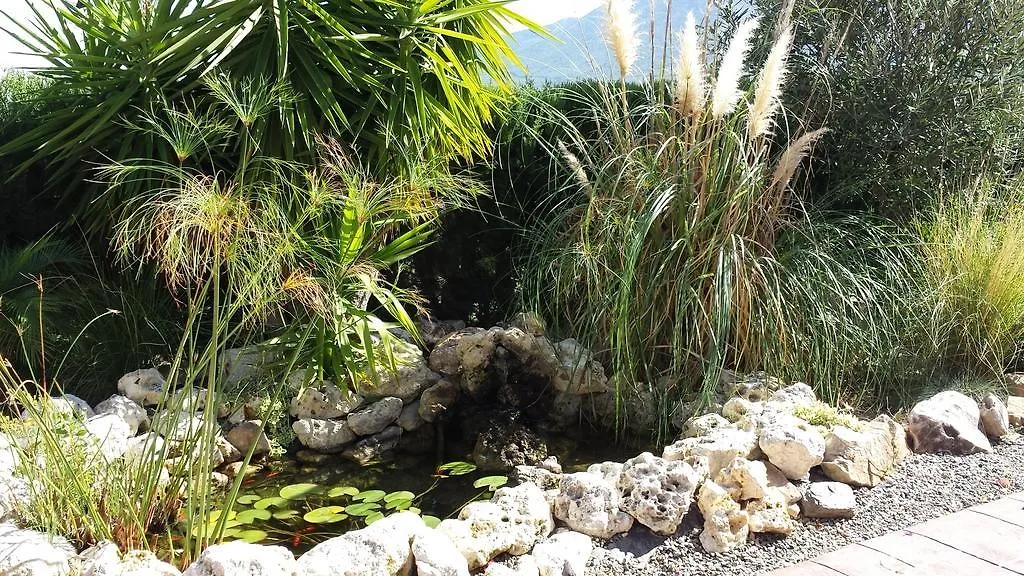 Bed & Breakfast | Guest House Casa Don Carlos Alhaurin el Grande Spain